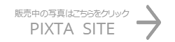 ストックフォトへ