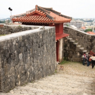 s0014.jpg
