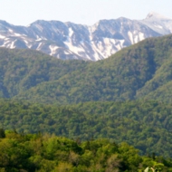 DPP_0003.jpg