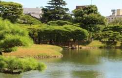 栗林公園