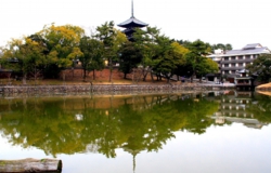 興福寺