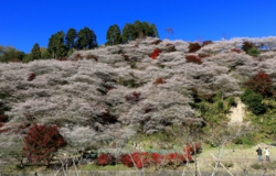 元善光寺