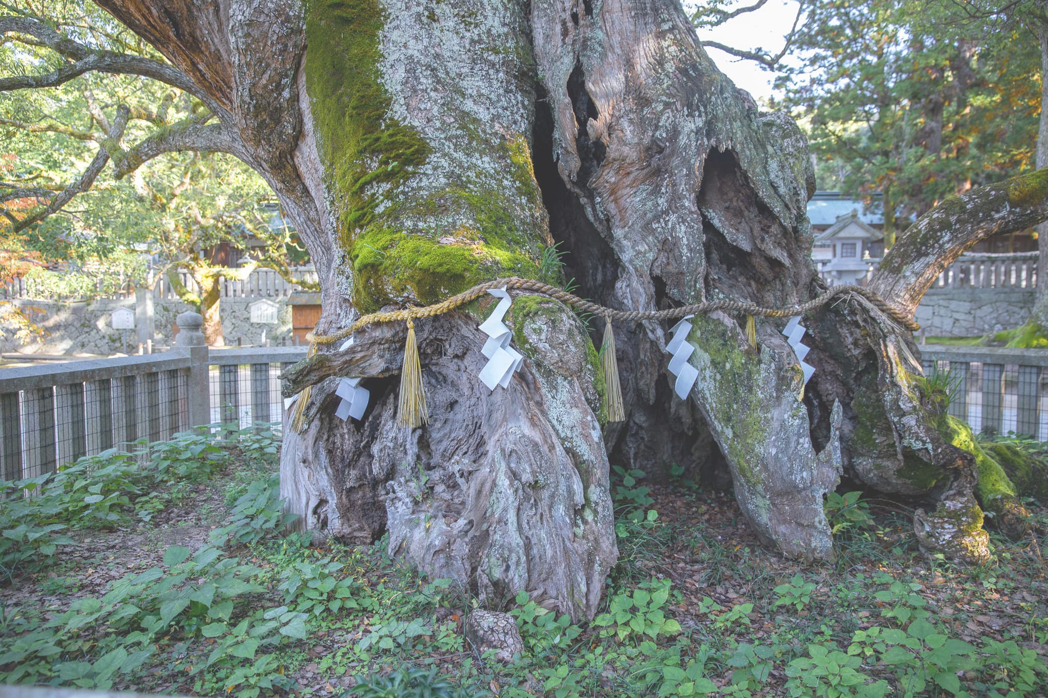 神門