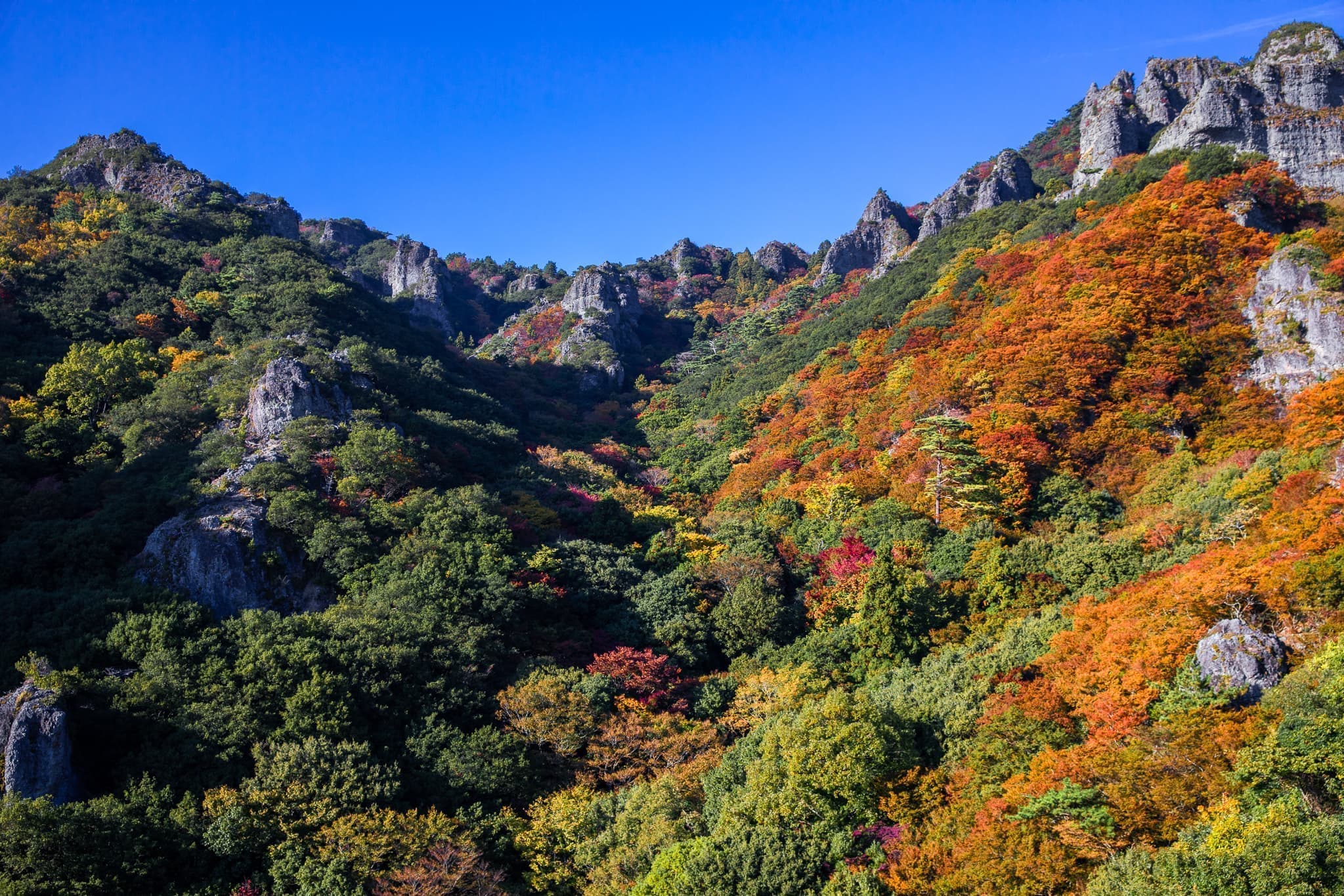 紅葉真盛りの寒霞渓