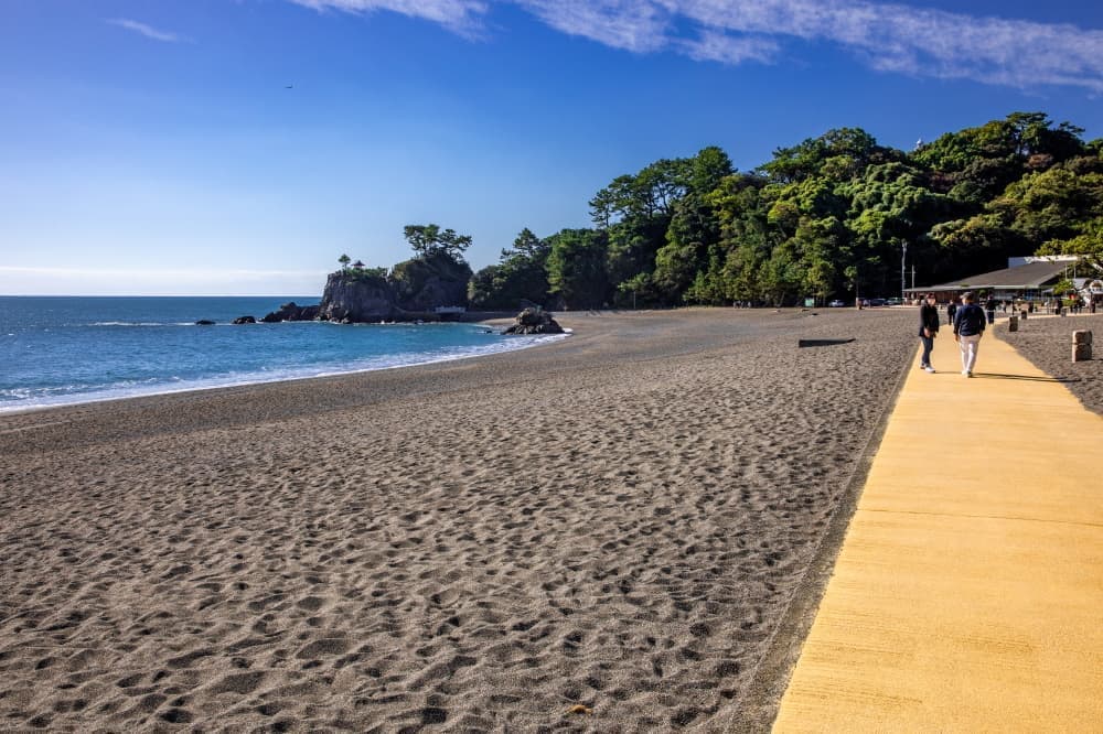 桂浜海のテラス