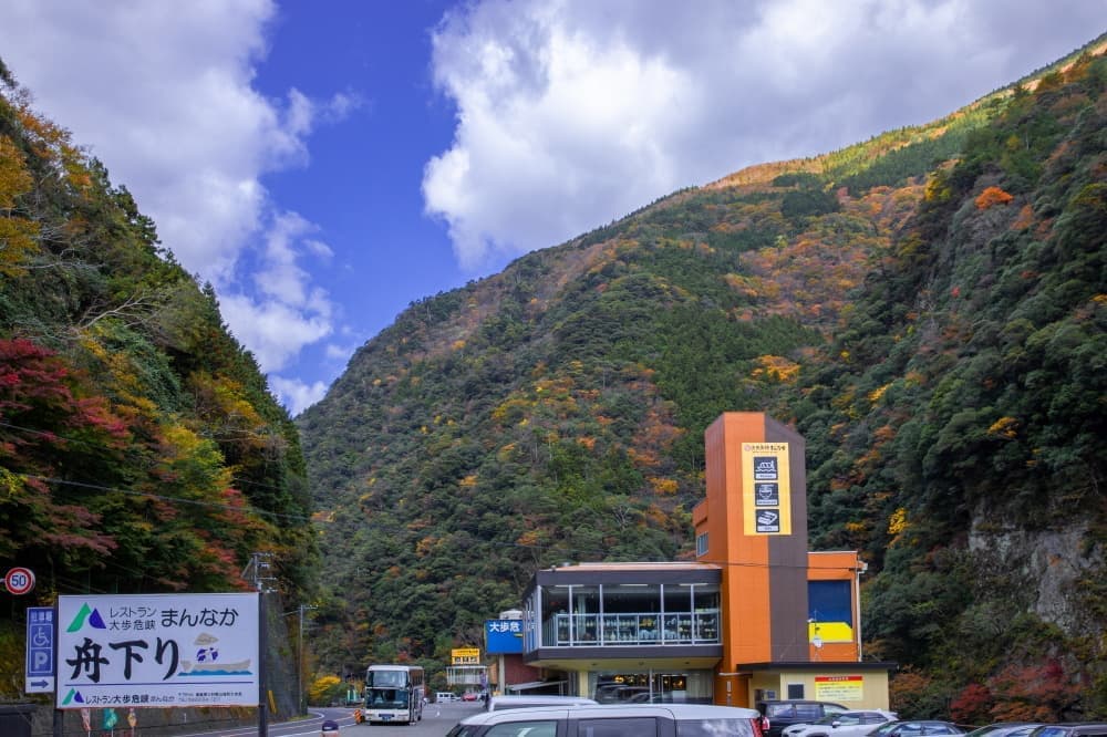 吉野川の大歩危