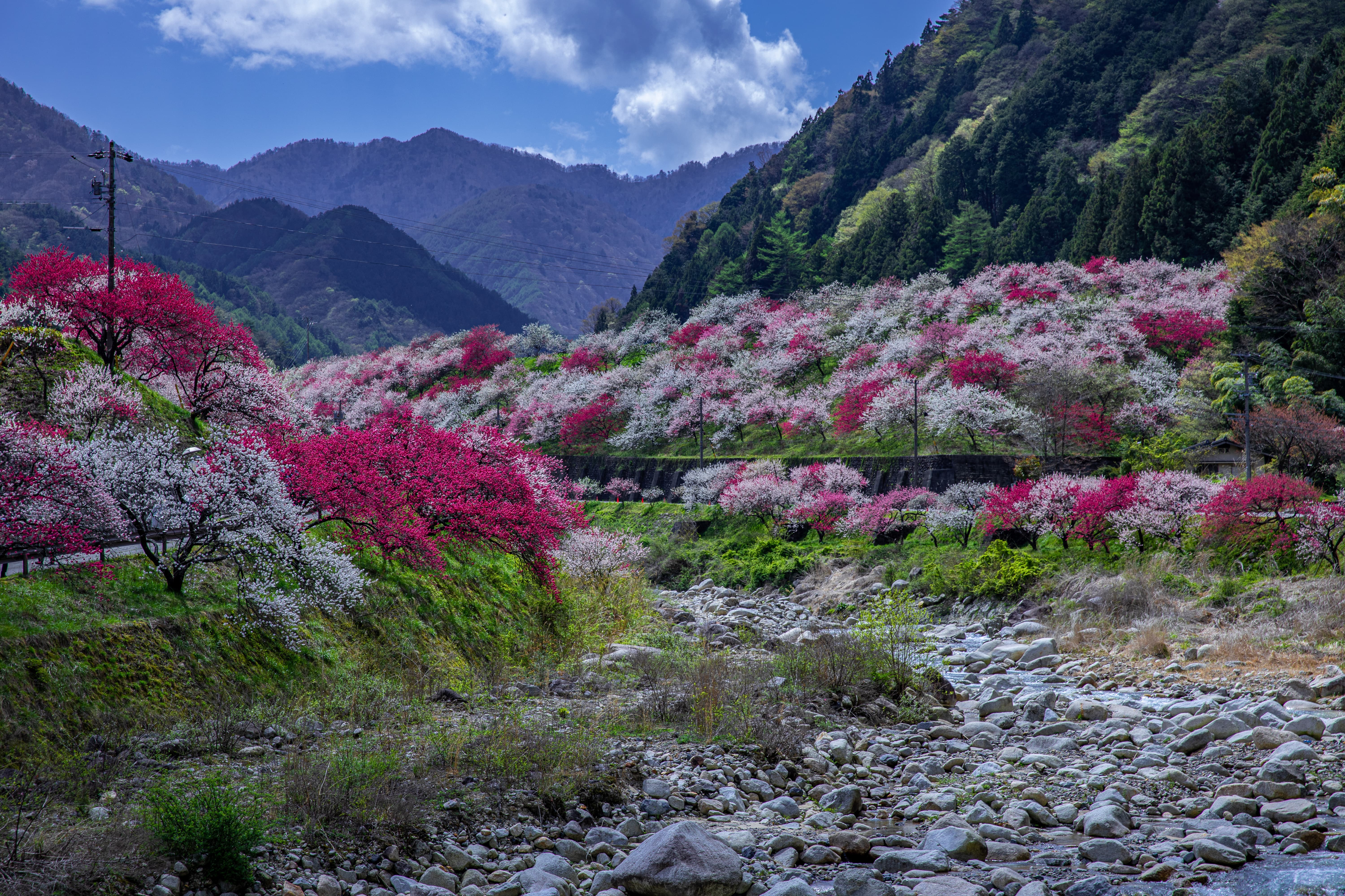 諏訪湖の花火