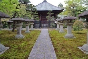 美山