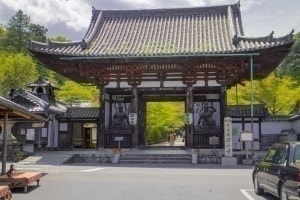 美山