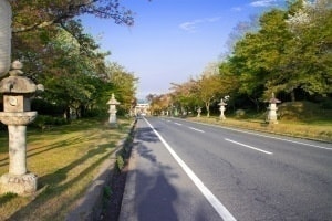 美山