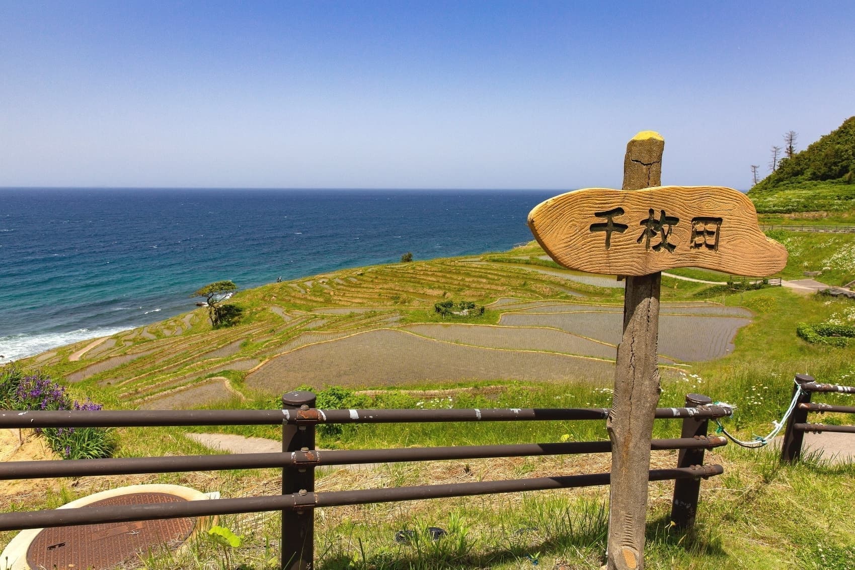 白米千枚田