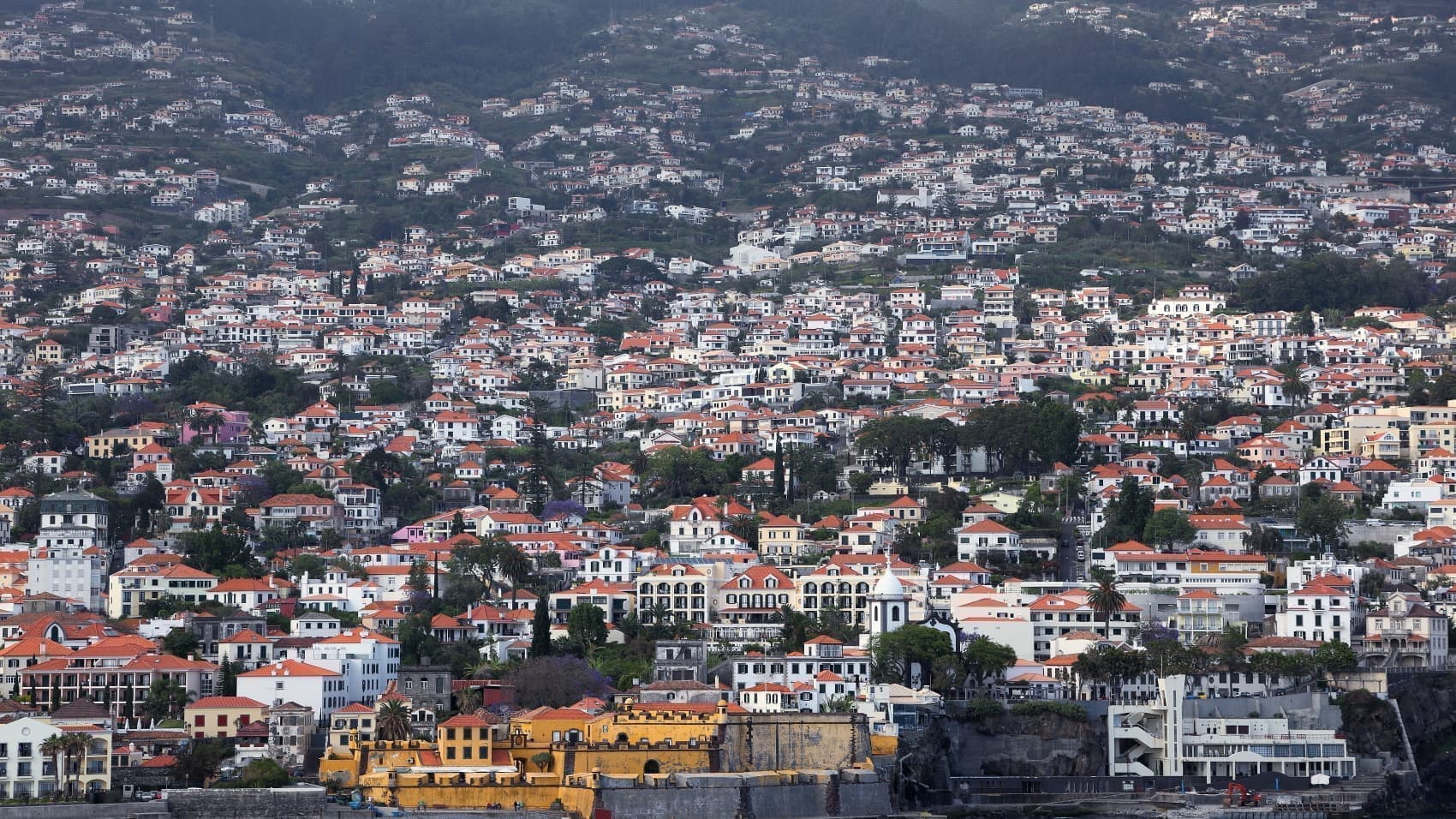 大西洋の真珠「マデイラ島」