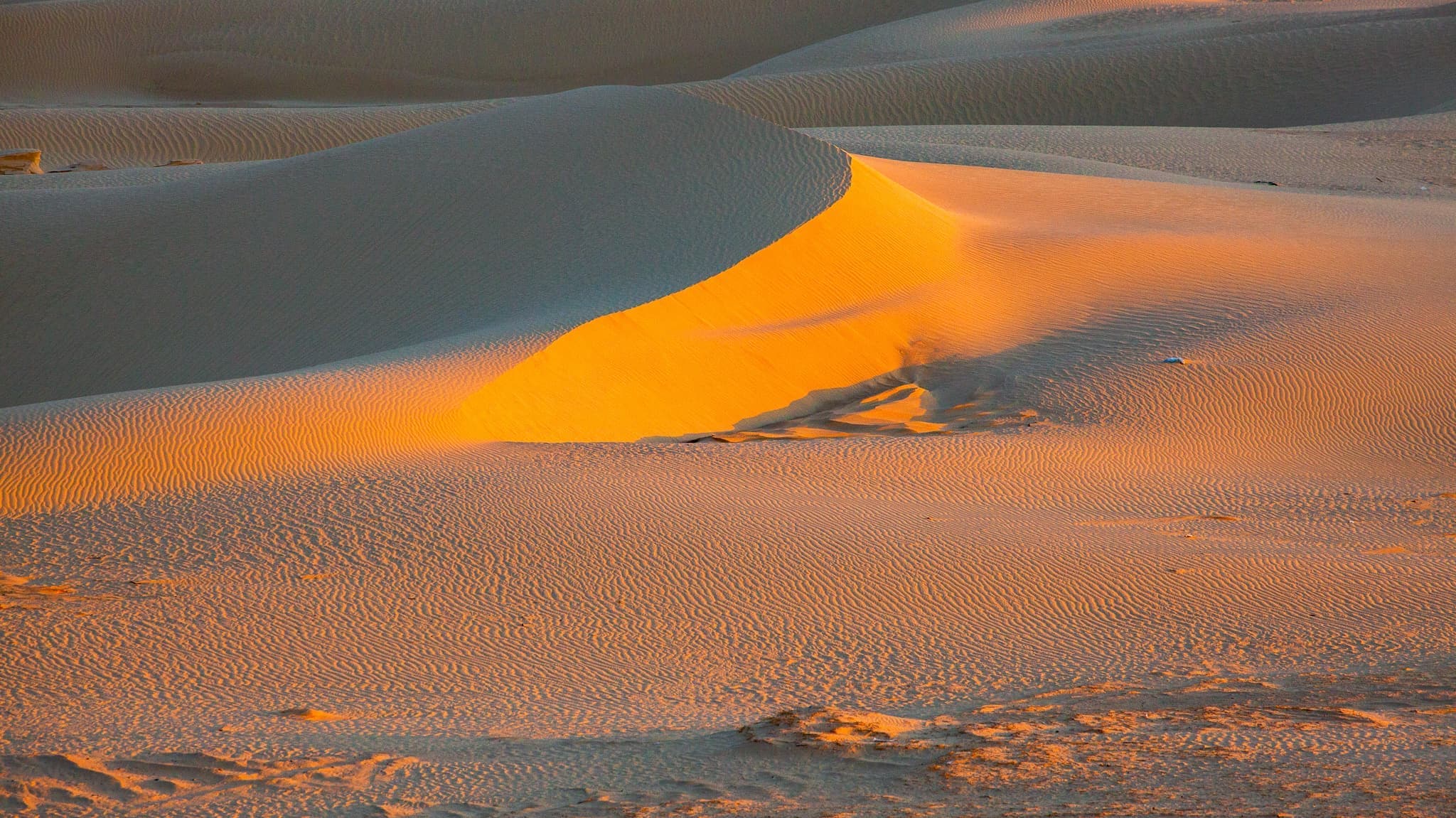 チュニジアの「サハラ砂漠」