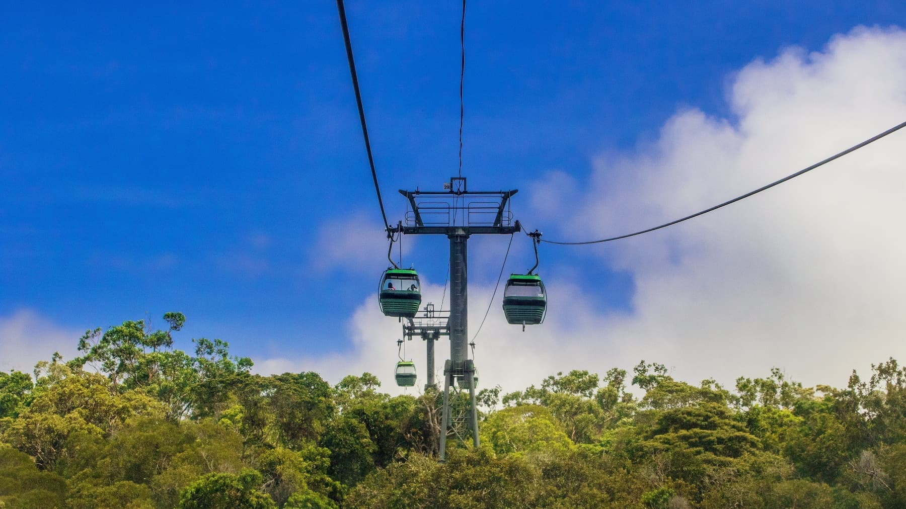 世界遺産「熱帯雨林のキュランダ」