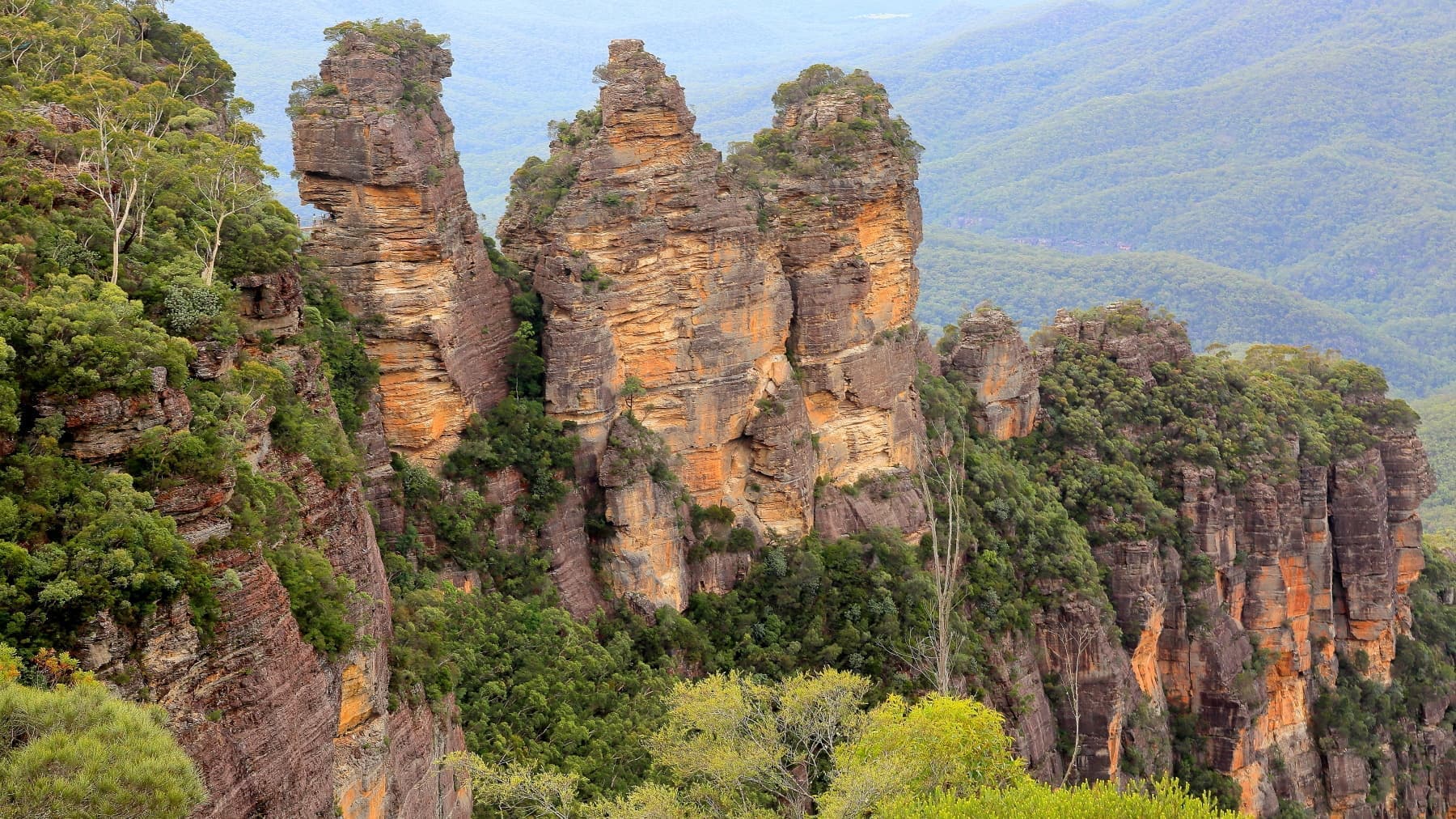 世界遺産「ブルー・マウンテンズ国立公園」