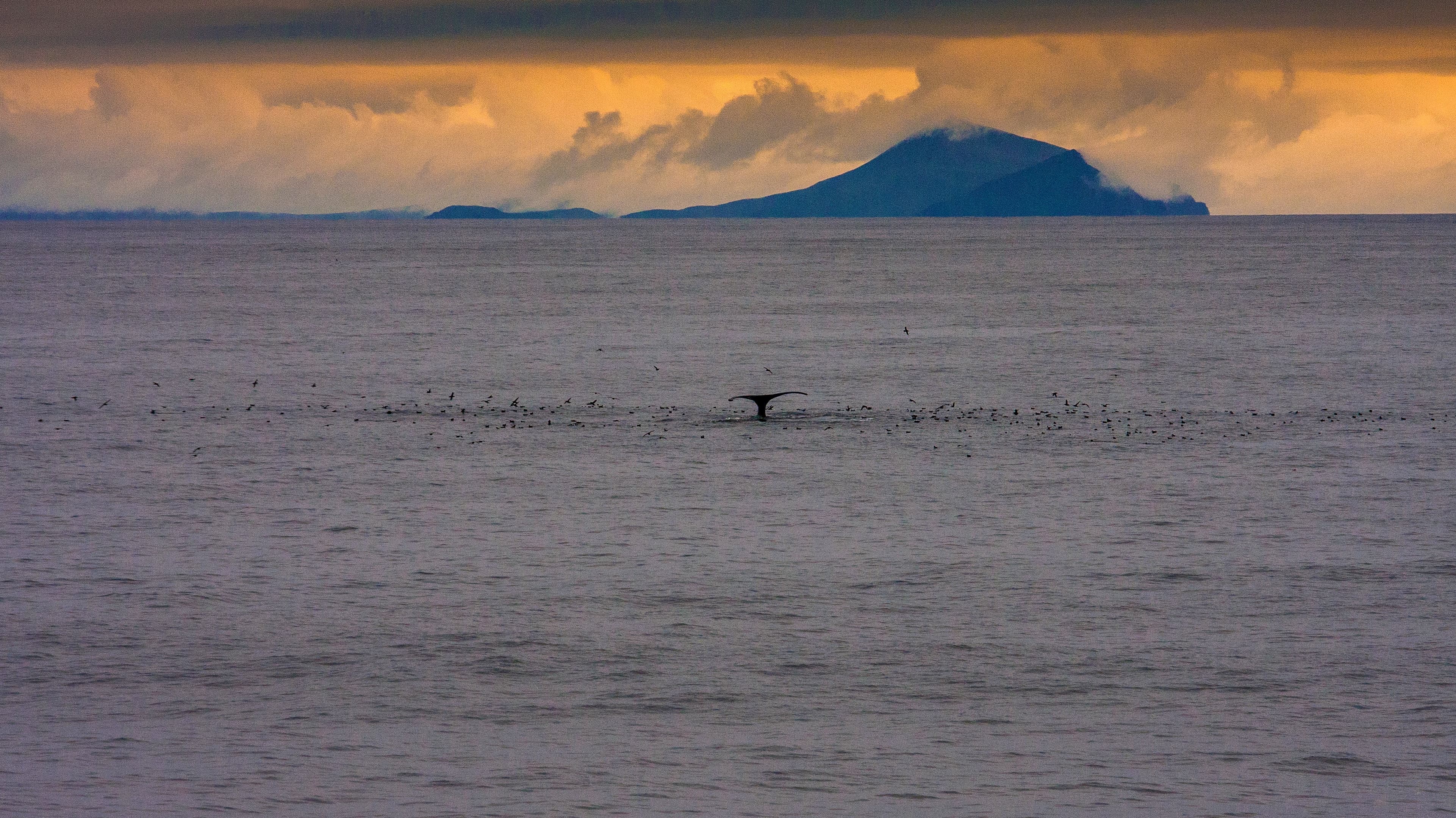 ユニマック海峡
